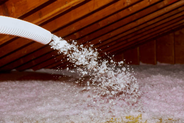 Best Local Insulation Services  in Dearborn Heights, MI
