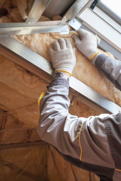Best Cellulose Insulation  in Dearborn Heights, MI